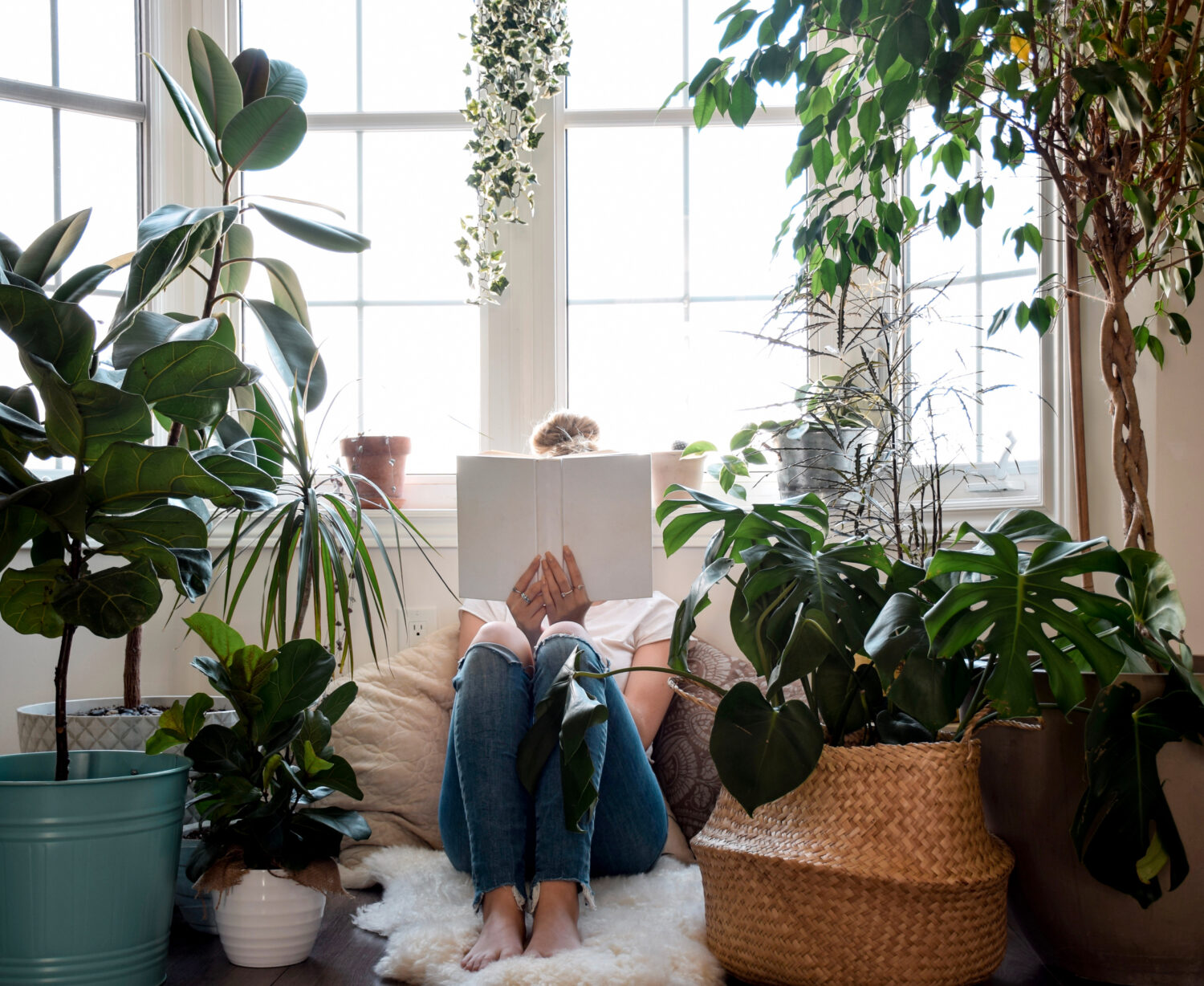 Young girl sitting in a cozy nook by a large bay window with houseplants reading a book