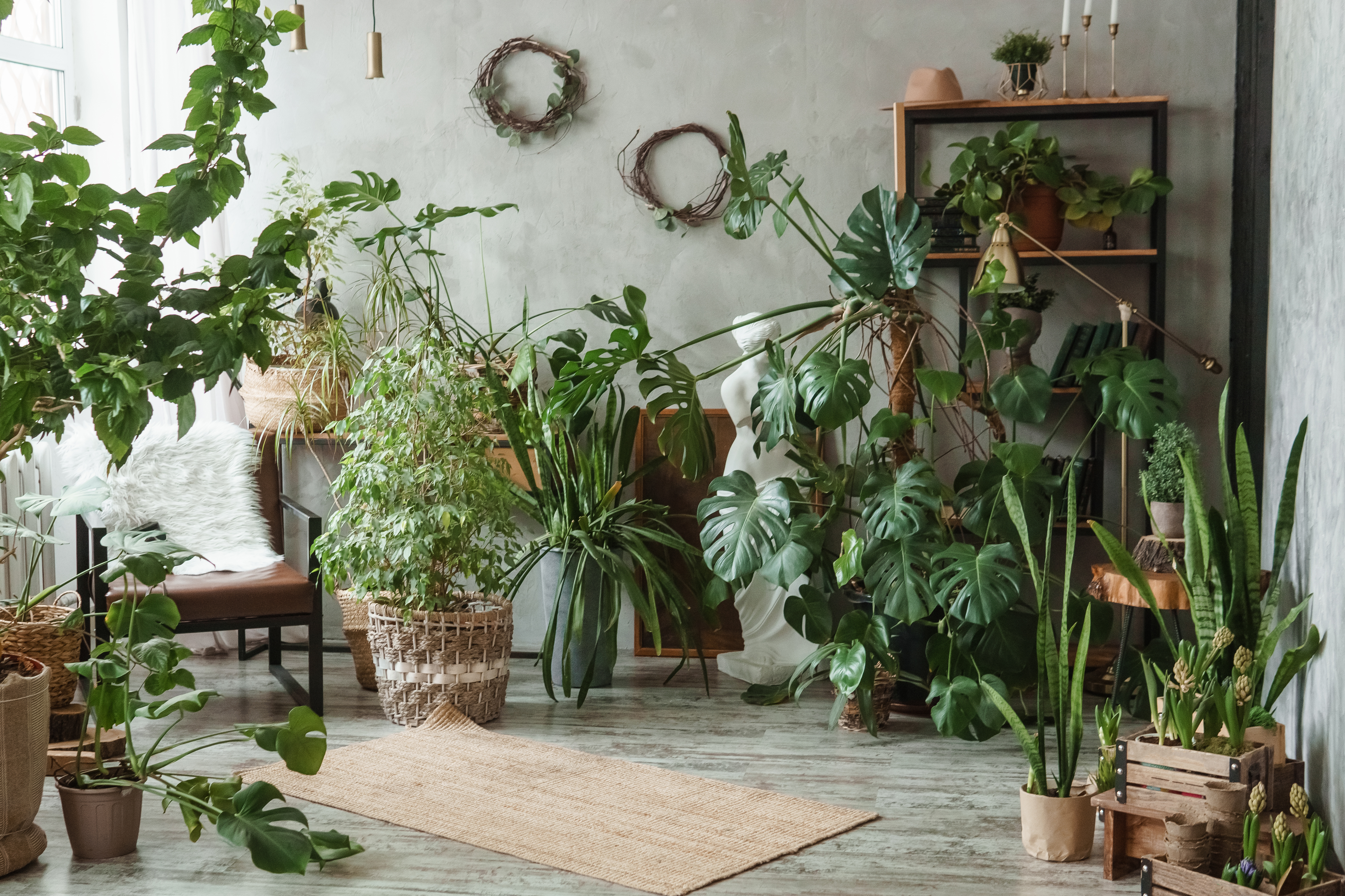Make Your Garden Pod Design More Sustainable