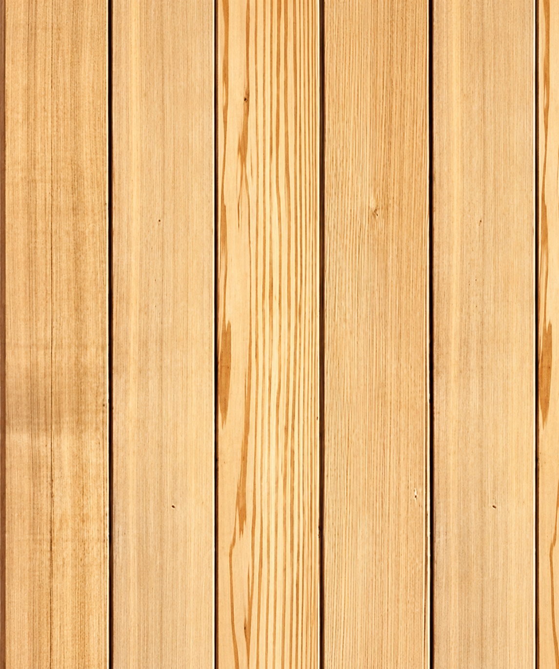 Cedar