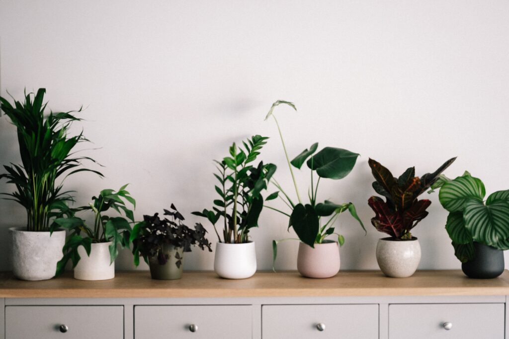 Houseplants add a nice finishing touch to a garden room